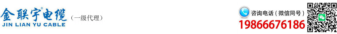金聯宇電纜